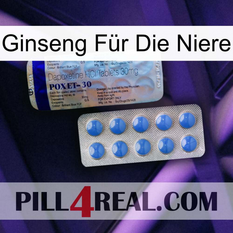 Ginseng Für Die Niere 39